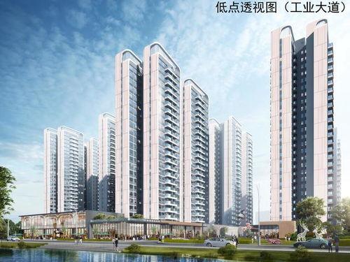 禹洲最新爆料,揭秘神秘项目背后的惊人真相